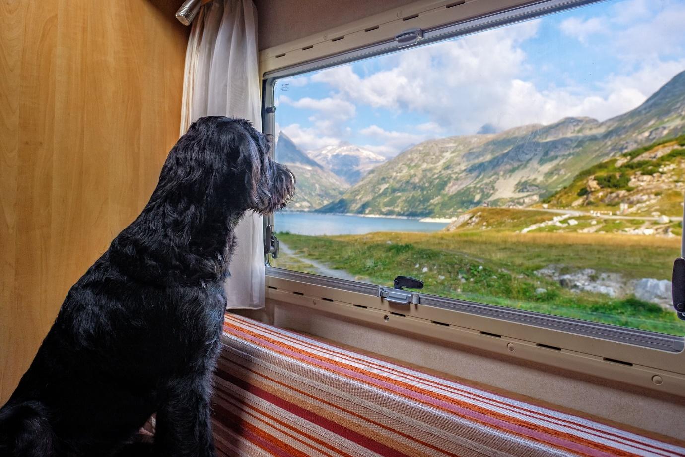 Four things to look out for when buying a preowned caravan