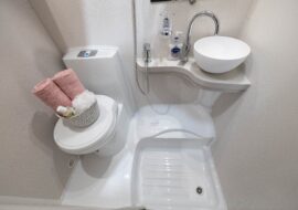 Avante 454 washroom 1